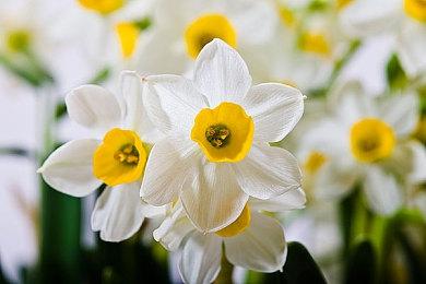 《心灵杀手2》没有D加密 老显卡可以玩